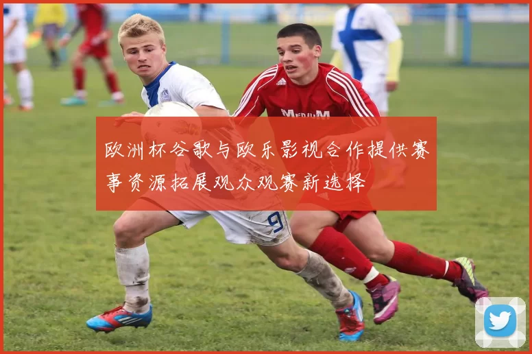 欧洲杯谷歌与欧乐影视合作提供赛事资源拓展观众观赛新选择