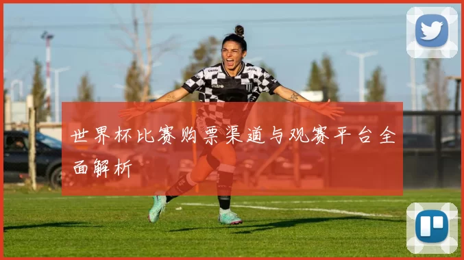 世界杯比赛购票渠道与观赛平台全面解析